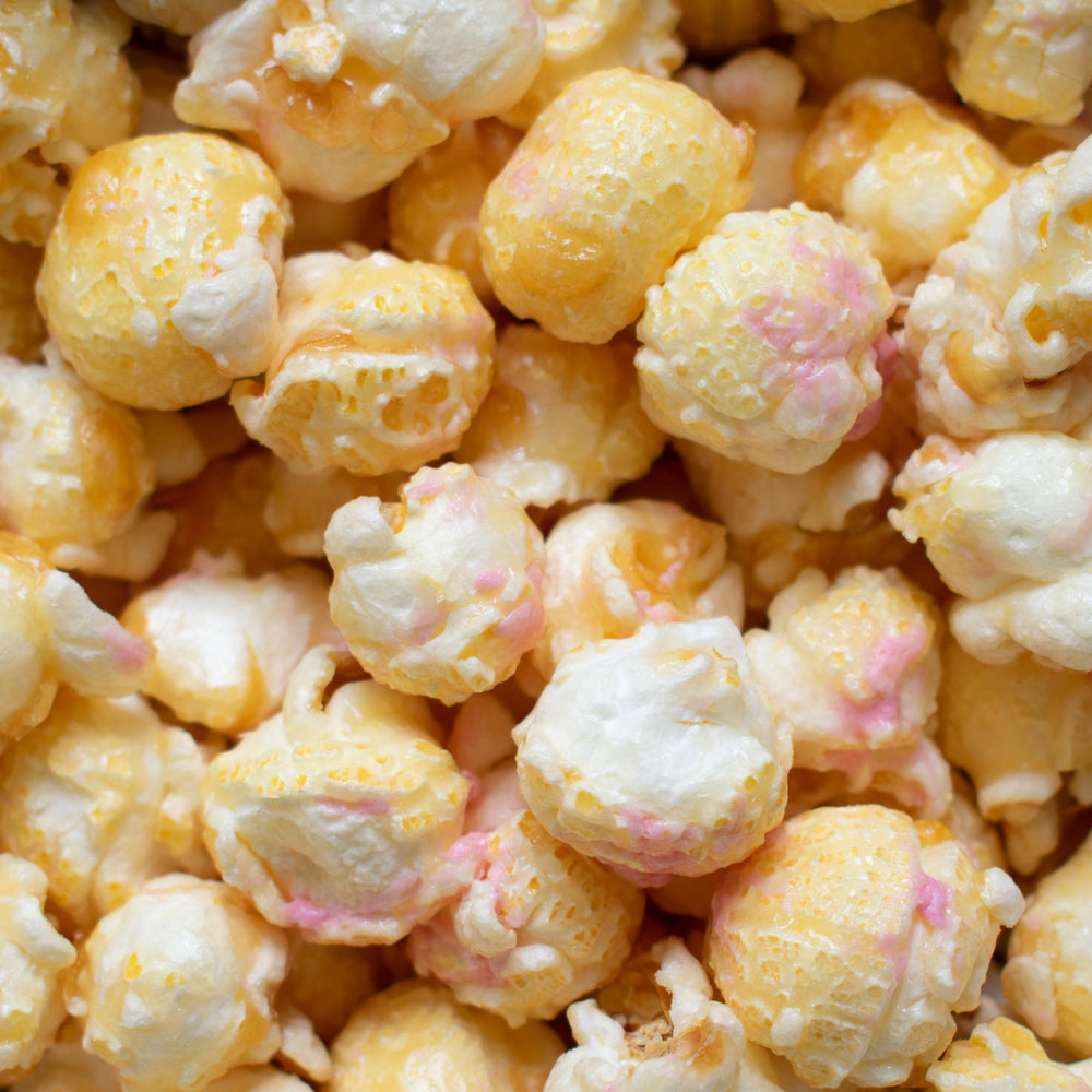 Gourmet Popcorn Mini Bag Multipack Bundle - 48 bags